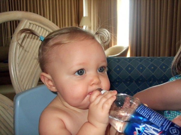 epawleys-island-2007-053.jpg